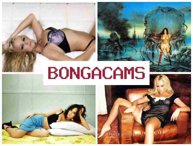 BONGA CZMS 👍 BDSM Porn & Femdom Slut