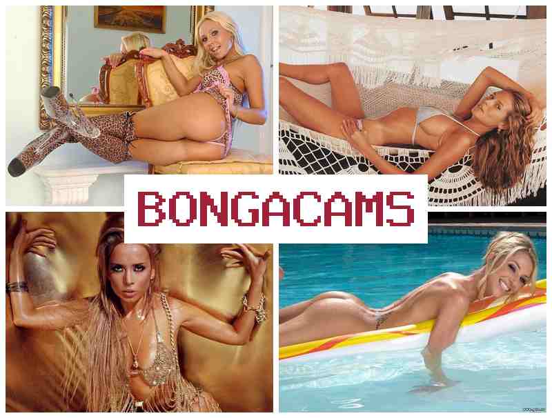 BONGA CAJS ▒ Luxury Girl Porn & Wife Porn
