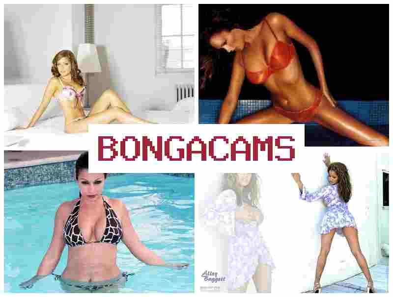 BONGA CAME 💑 Anal Sluts in Europe & Sluts Anal Stretched BONGA CAME 💑 Anal Sluts in Europe & Sluts Anal Stretched