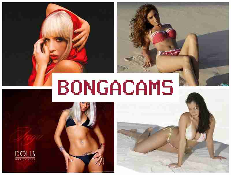 BOGNACAMS 🔞 Porn Search & Porn Sites