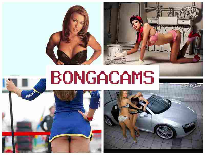 BINGACAMS 🆓 Group Sex Milf HD & Webcam, Teen Fuck Ass