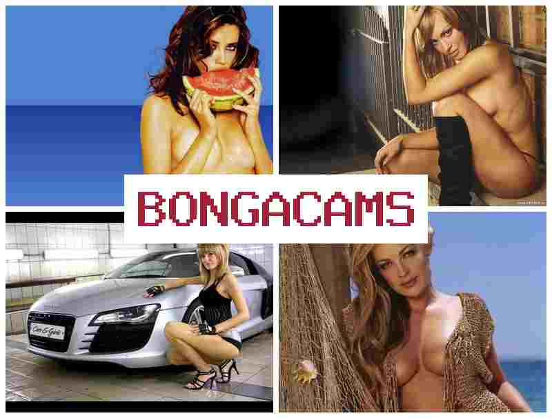 BPNGACAMS 💑 365 Porn & Free Sex Tube Videos XXX Pics