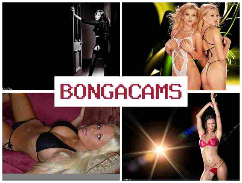 BKNGACAMS 👍 Lady Slut Porno & Free Blowjob Sex Videos