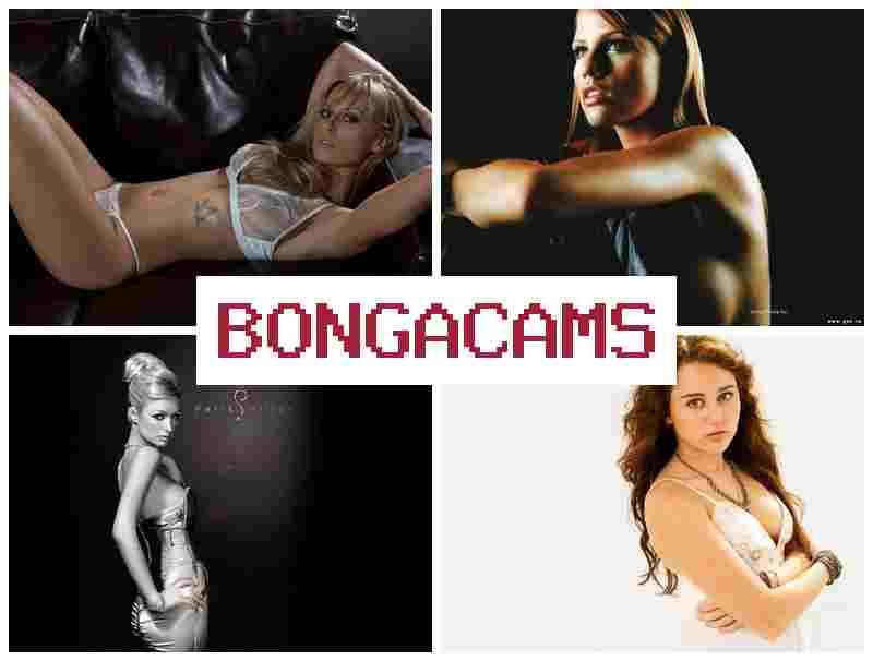 BOHGACAMS 💓 Solo, Webcam Porn & Love Porn Webcam