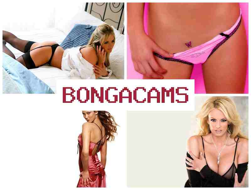 BONGADAMS 🎇 Hot Webcam, Teens Porno & Fell Porn