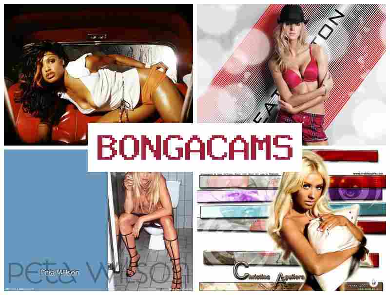 BONGAVAMS 💗 Masturbate Porn & Gaming Sluts