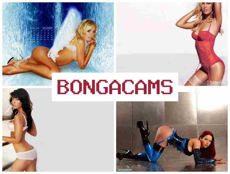 BONGACWMS 🆗 Porn Masturbation & Porn Milf, Webcam, Teens