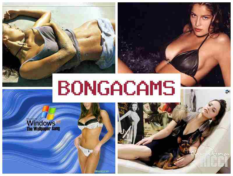 BONGACZMS 💟 Anal Sex VK & Slut Sucking Cock