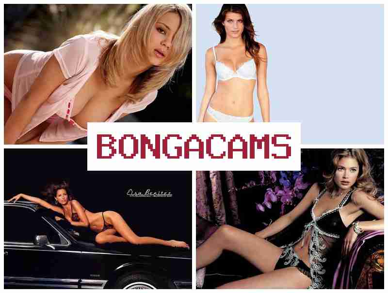 ONGA CAMS 💑 Webcam, Teen Solo Blowjob & Best Beautiful Girls Sex