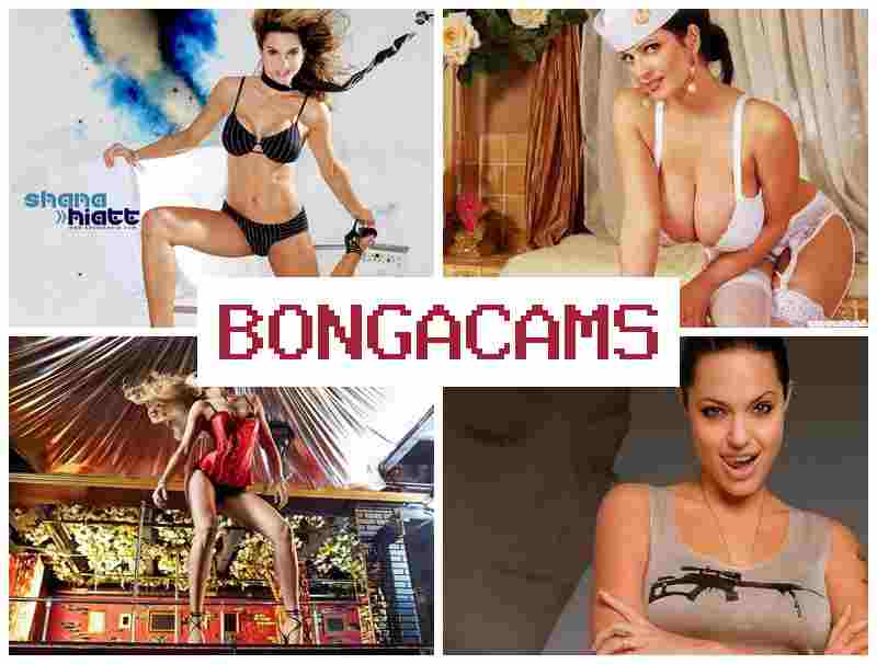 BONGACAS 💓 Big Butt Anal Sluts & Mature Wife Webcam