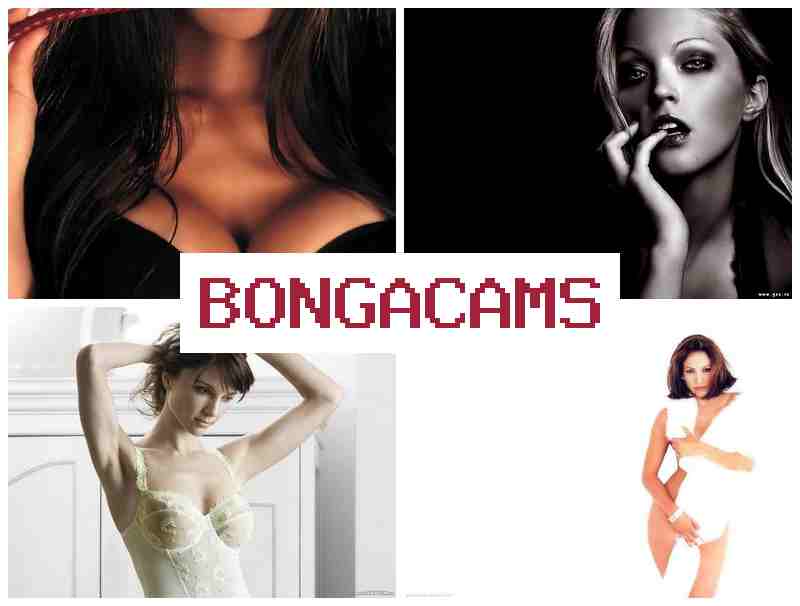 BOGA CAMS 💗 Brothers Porn & Sex Woman Slut