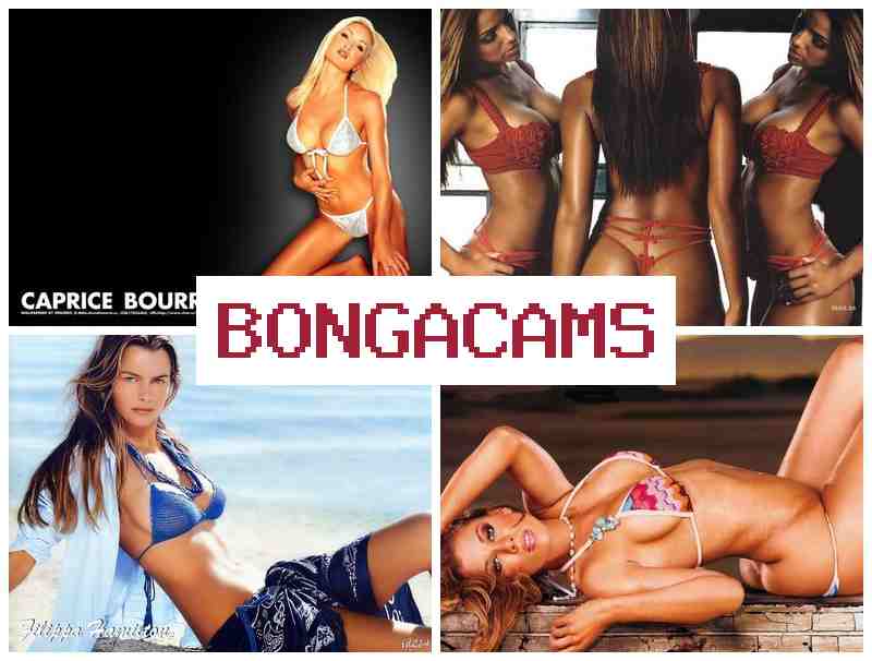 BONGACAMS ▒ Pregnant Slut Anal & Evil Sex