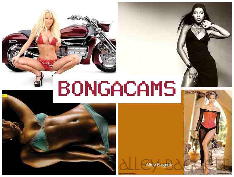 BONGA CAS 🎥 Porn Sex Ass & Page Porn