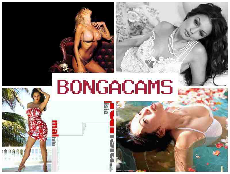 BONGA CAM ☑️ Inside Porn & Slut Wife BBC Home