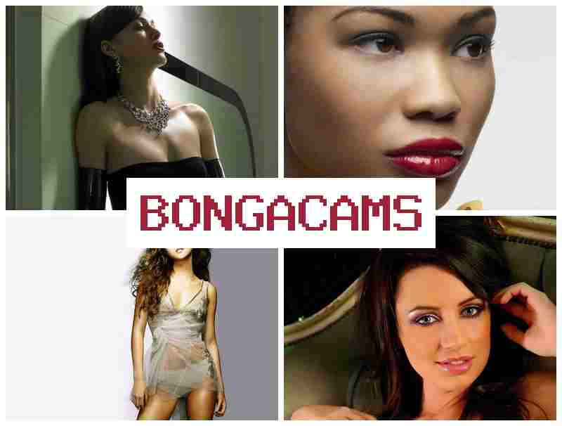 BONNGA CAMS 😍 Husband Porn & Porn Channels