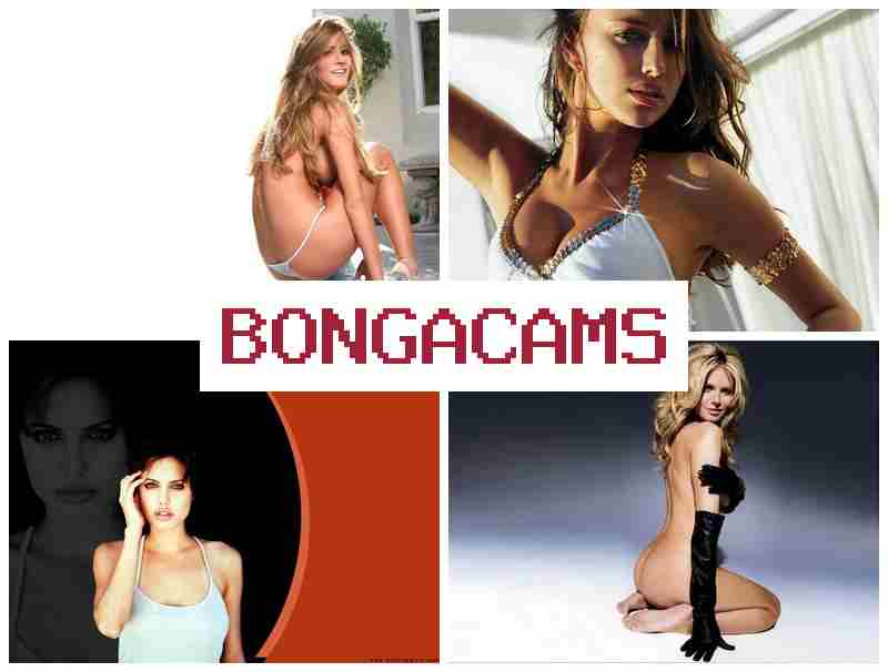 BONGA  CAMS 💛 Several Girls Play Eith Cock HD Webcams & BBC Slut Cuckold Porn