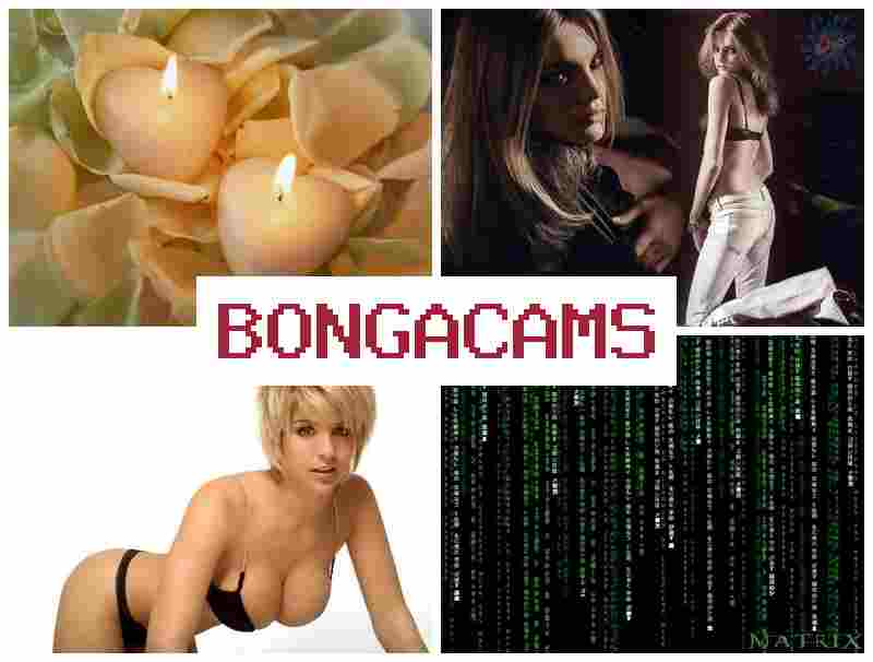 BONGA CCAMS 🔶 Female Sex XXX & Indonesia Porn