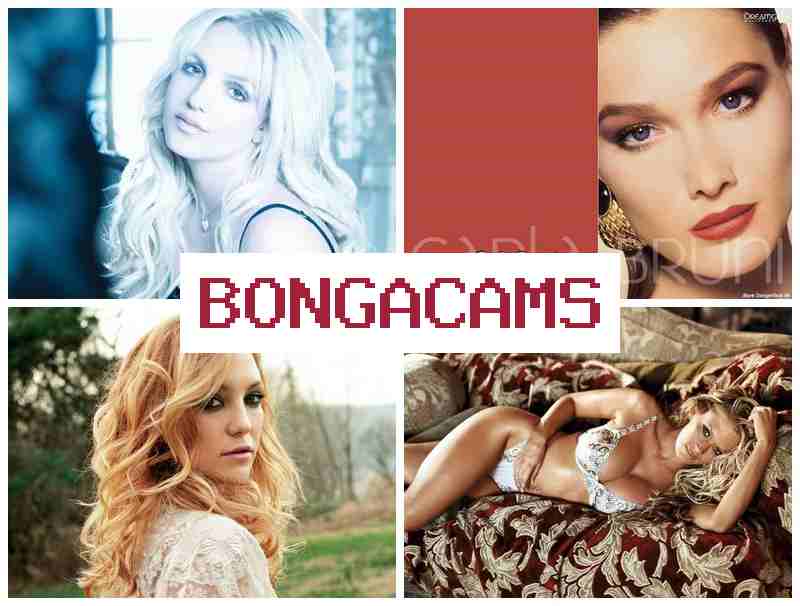 BONGA CAMSS 🆓 Male Porn & Anal Slut Show