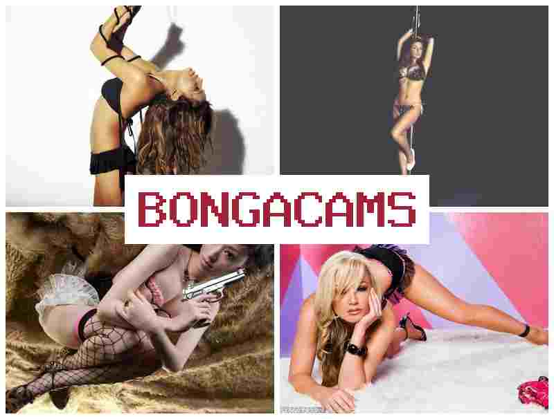 OBNGA CAMS 🆕 Slut Porno TG & Asian Amateur Webcam Porn