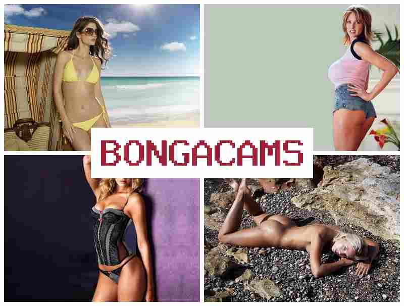 BOGNA CAMS 🆕 Free Webcams 18+ & Teen Porn Video