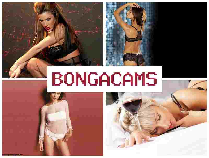 BONGAC AMS 💻 Sexy Cute Girls Webcam Model & Moon Porn BONGAC AMS 💻 Sexy Cute Girls Webcam Model & Moon Porn