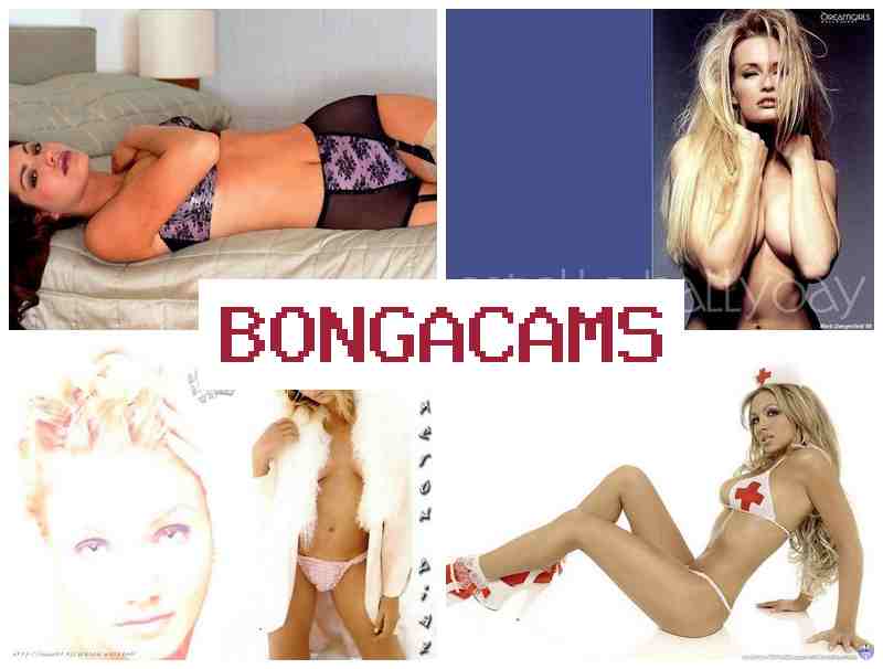 BONGA CMAS ☑️ Anal Slut Destroy & Porno Crazy Wife Slut