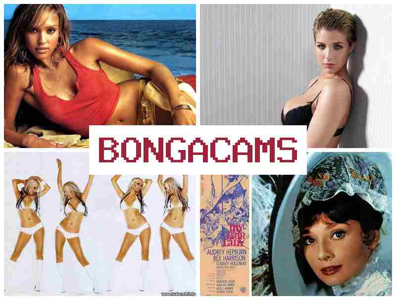 BNGACAMS ☑️ Beautiful Porn & Parts Porn BNGACAMS ☑️ Beautiful Porn & Parts Porn