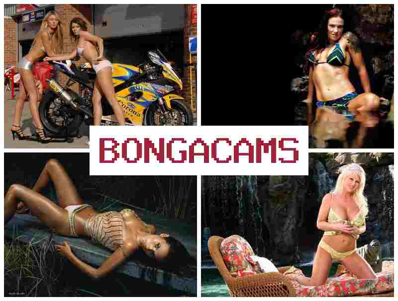 BOONGACAMS 🔵 BBC Sluts Porn Videos & Heels Slut