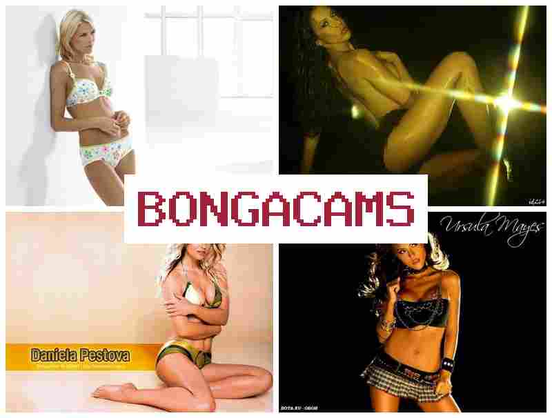 B0NGA CAMS ▒ Black Slut & Cam Show Webcam B0NGA CAMS ▒ Black Slut & Cam Show Webcam