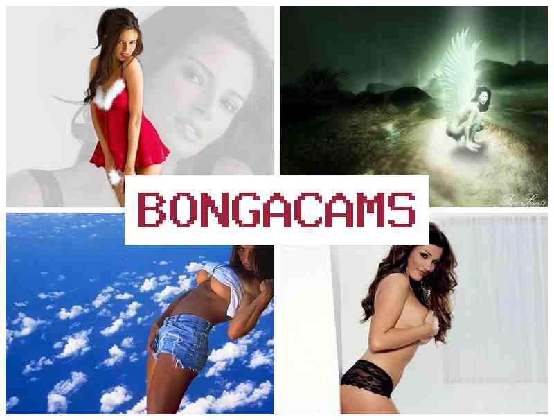 BPNGA CAMS 💘 College Gangbang Webcam Porn & Webcam Boobs XXX BPNGA CAMS 💘 College Gangbang Webcam Porn & Webcam Boobs XXX