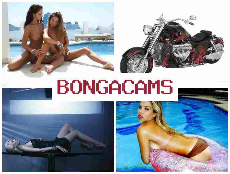 BLNGA CAMS 🔴 XXX Porn & Fap Nights Sex Scene