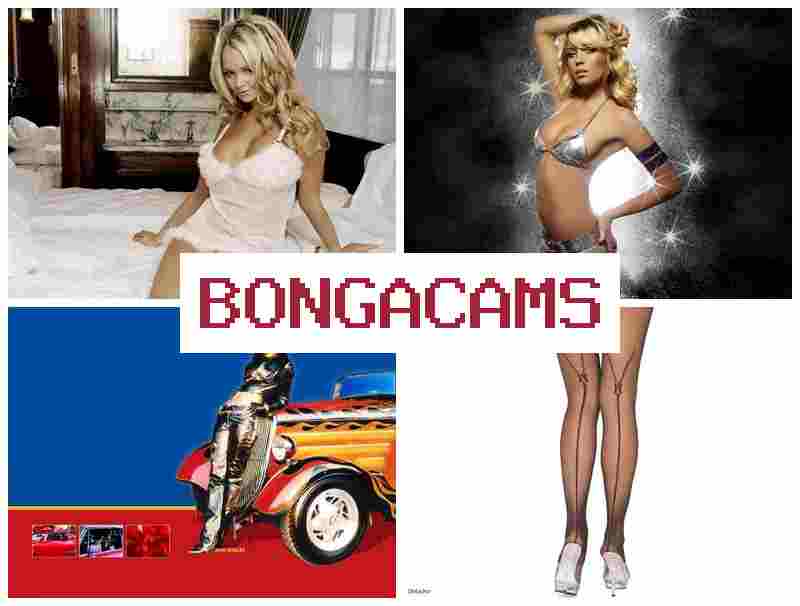 BOBGA CAMS 🆕 Teen Anal Slut & Girls Leaks Sex Videos