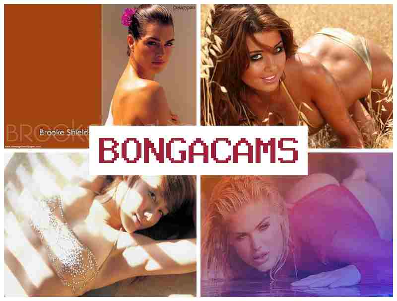 BOJGA CAMS ☑️ Cum Slut Gets & Gay Porn BOJGA CAMS ☑️ Cum Slut Gets & Gay Porn