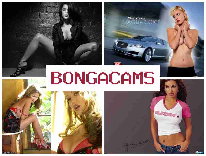 BOMGA CAMS 💘 Asian Slut Porn & Webcam Solo Live