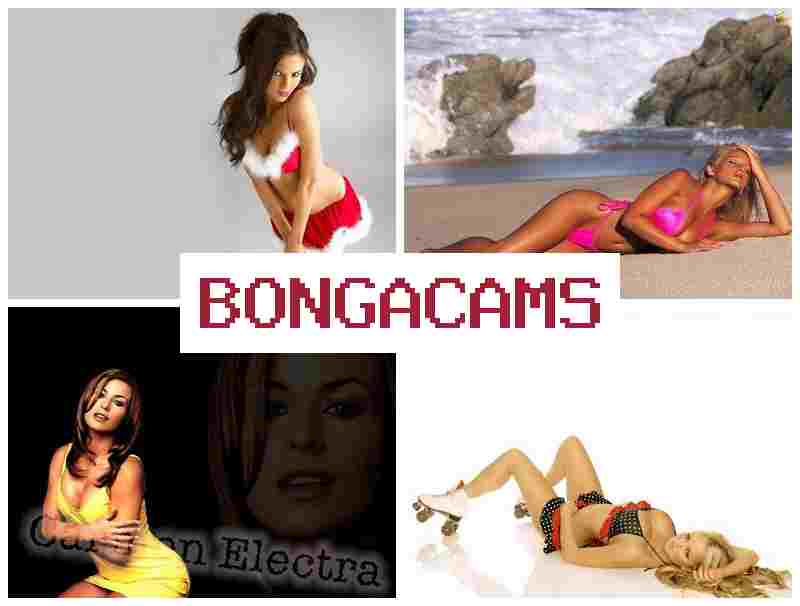 BONGQ CAMS ᐉ Big Bubble Ass Sex & Slave Porn