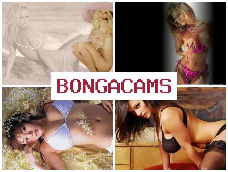 BONGA CAMD 👩 School Porn & Deepfake Porn