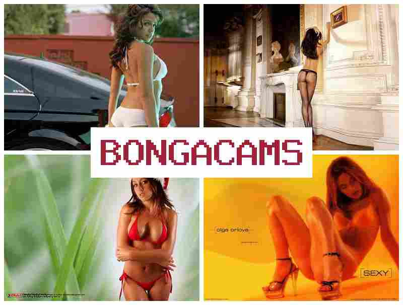 BONGA CAMX 💋 Gay Boys Porn & Furry Gay Porn