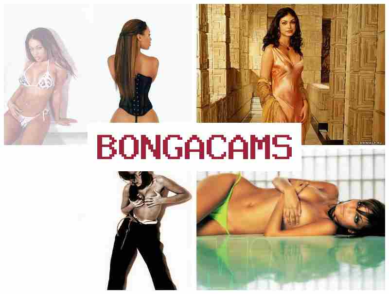 BONGACAAMS 💞 Porn Fan & Bondage Sex Movies