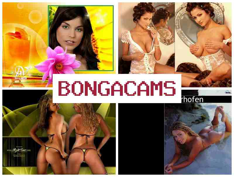 BONGACAMSS 🆕 Big Tits Hard Home Sex & Slut Porn Game