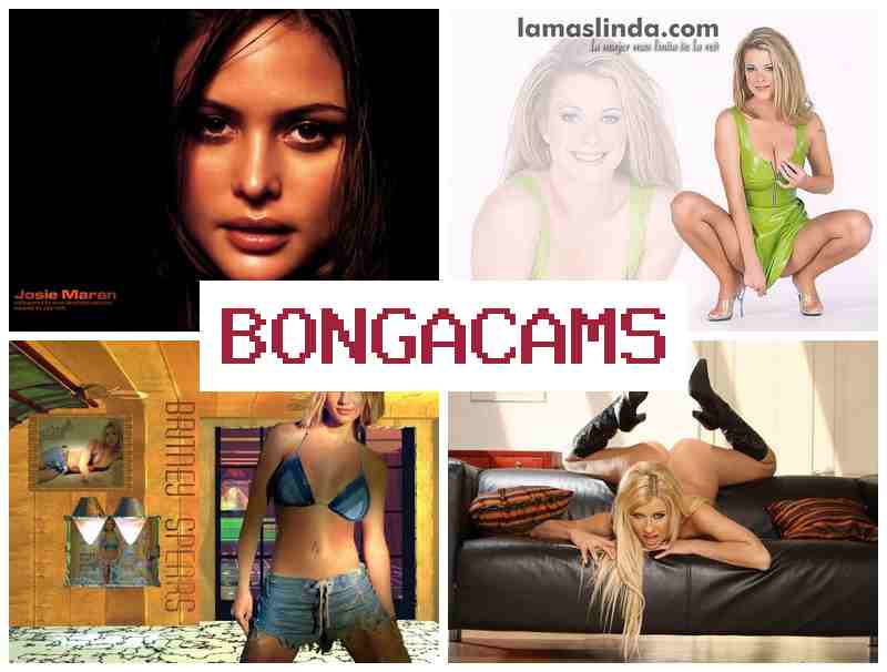 BNOGACAMS 💻 Did Porn & Girlfriend Porn