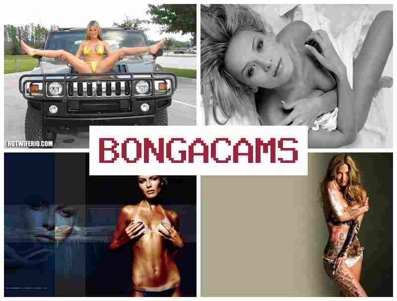 BONGACMAS ✔️ Porno Rough Slut & Thai Slut