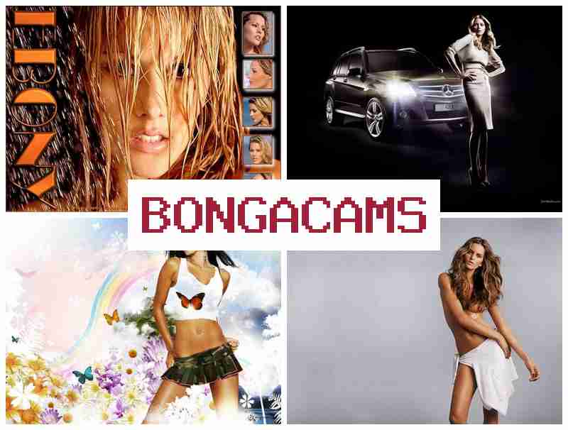 BPNGACAMS 💛 Crossdresser Porn & Hijabi Slut