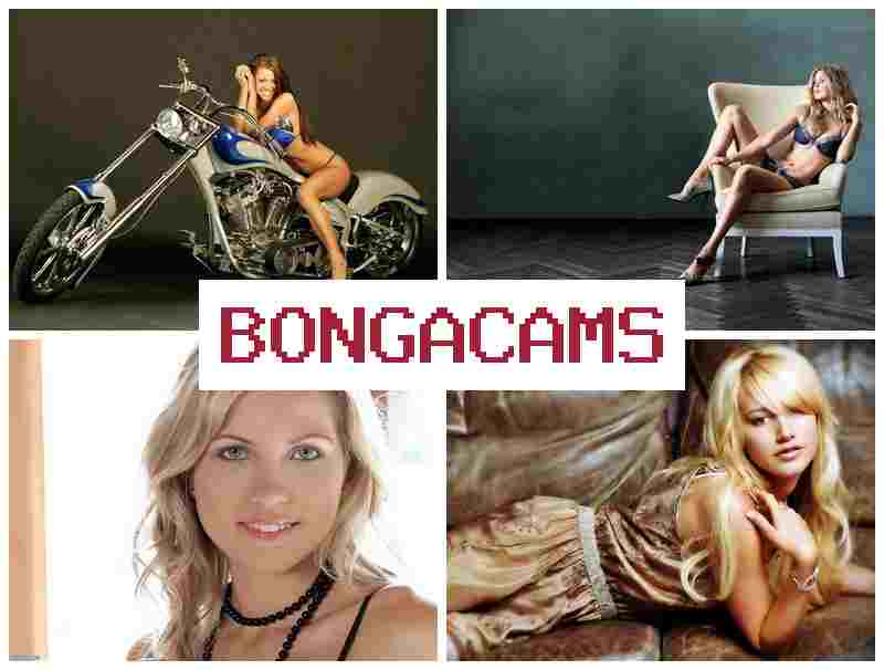 BLNGACAMS 💓 Sis Porn & Boy Porn