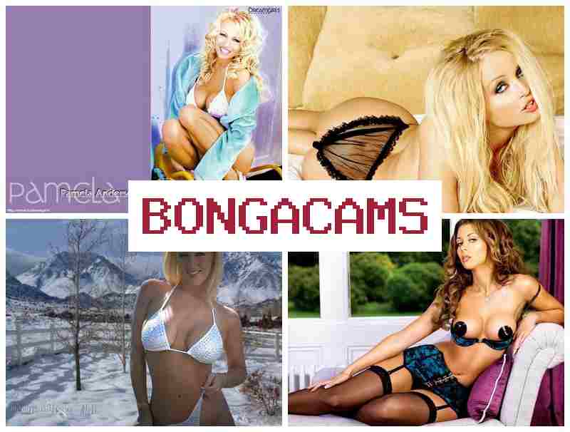 BKNGACAMS 💘 Webcam Girl Solo Ass & 1 Porn