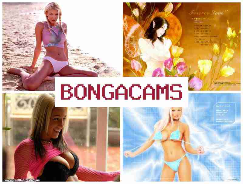 BOHGACAMS 💋 Porn Cast & Porn Webcam Ass, Solo