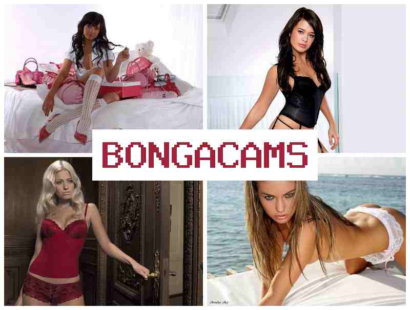 BONGQCAMS 👧 Cams Video Chat Girl Random & Free HD Sex Tube