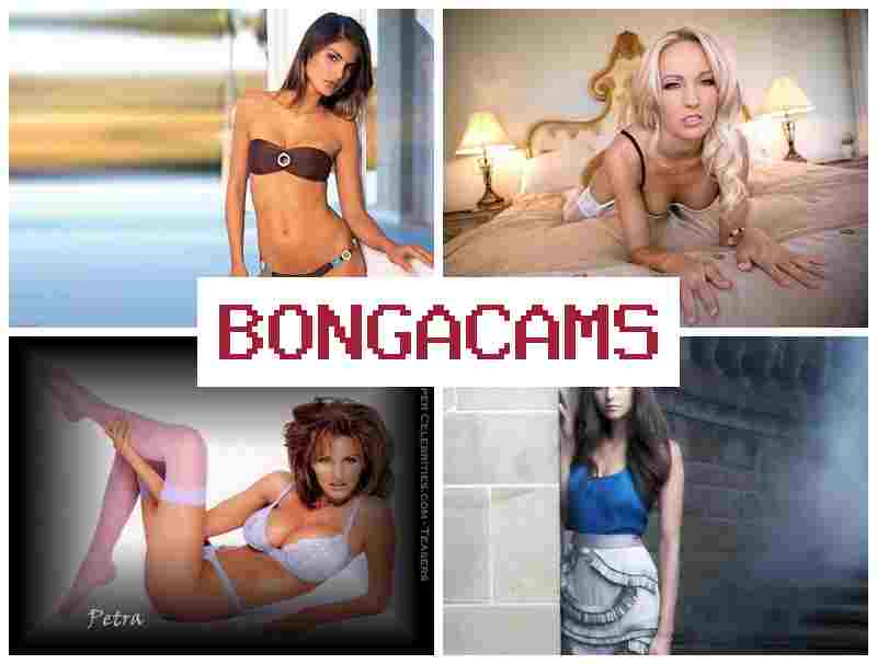 BONGSCAMS 🔻 Tits Sluts & Porno Dogging Slut Wife