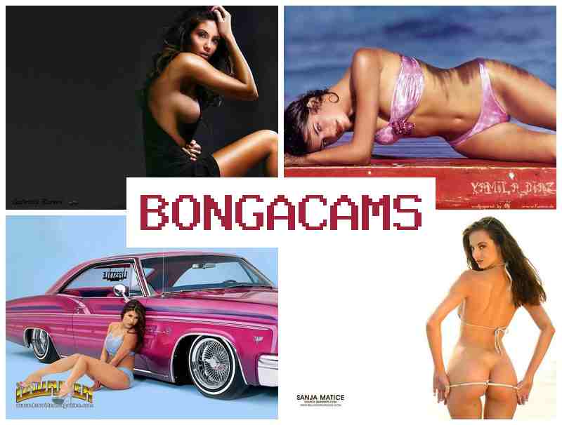 BONGZCAMS 🎇 Hair Girls Webcam & Ass Sex TG