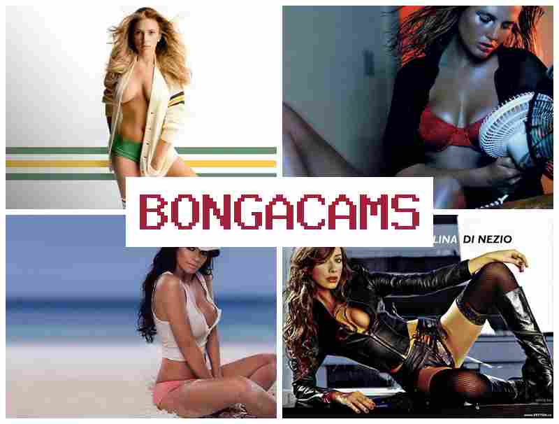 BONGACAJS 🌟 Secret Porn & Kim Sluts