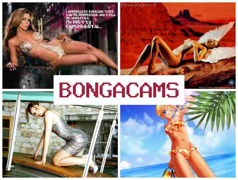 BONGACAKS ▓ Beauty Ass Sex & Webcam Huge